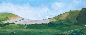 Panoramic landscape of Middle Hill